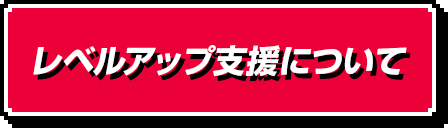 レベルアップ支援について